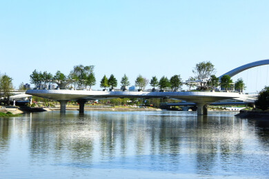 成都交子人行桥莲桥