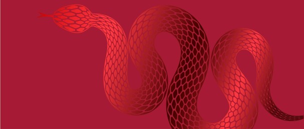 蛇抽象绘画艺术