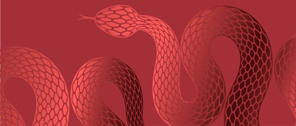 蛇抽象绘画艺术