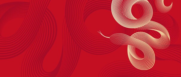 蛇抽象艺术插画