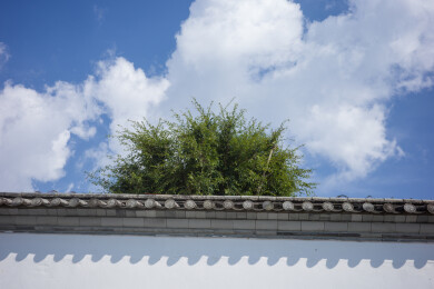 云南腾冲和顺古镇风景