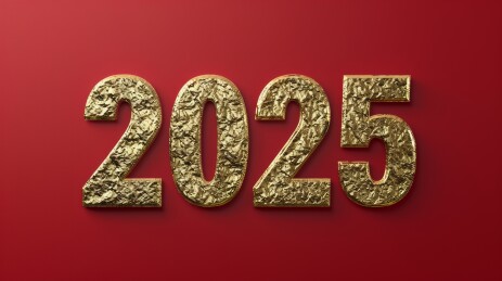 红金配色2025设计