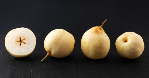 河北泊头鸭梨
