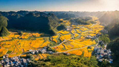 大美中国金秋十月，万亩稻田“丰”景如画