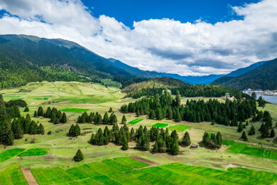 中国西藏G318波密鲁朗林海扎西岗村风光