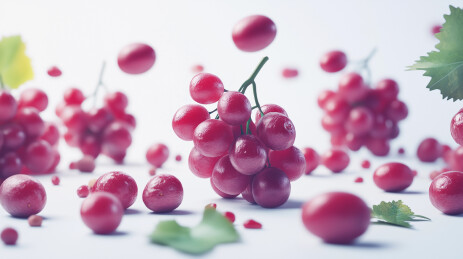 3D葡萄水果插图