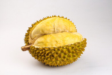 金枕榴莲 榴莲