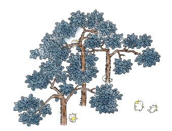清新唯美手绘插画梧桐树