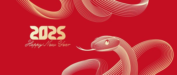 蛇抽象艺术插图