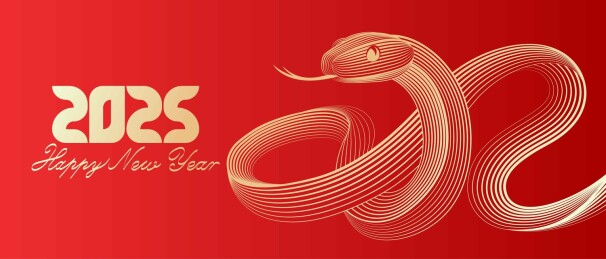 蛇抽象艺术插图