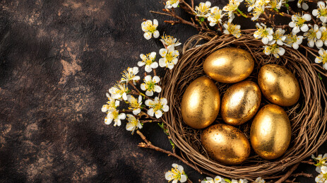 金蛋栖息在花巢里