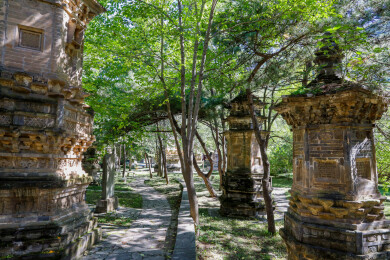 北京市门头沟区潭柘寺，潭柘塔林（下塔院）