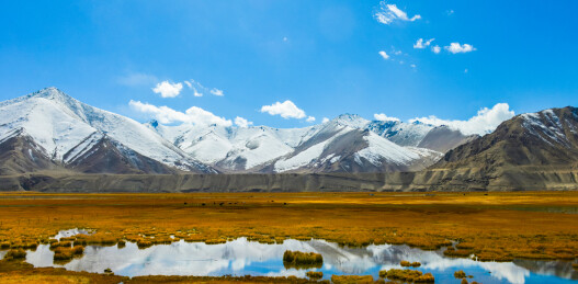 中国新疆帕米尔高原，喀什地区木吉湿地秋季风景