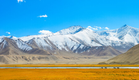 中国新疆帕米尔高原，喀什地区木吉湿地秋季风景