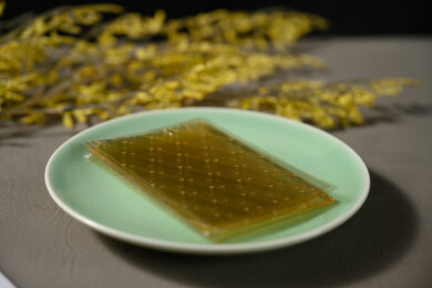 桌面上的盘子里的干爽通透的吉利丁