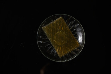 桌面上的盘子里的干爽通透的吉利丁