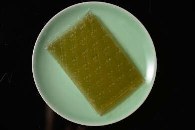 桌面上的盘子里的干爽通透的吉利丁