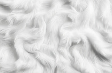 白色背景下的水的全帧拍摄