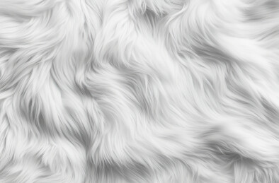 白色背景下的水的全帧拍摄