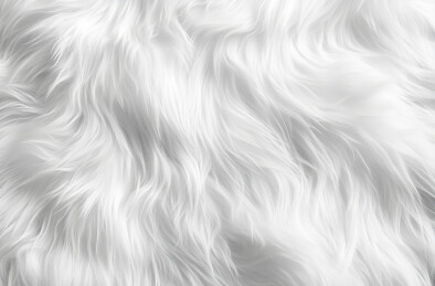 白色背景下的水的全帧拍摄