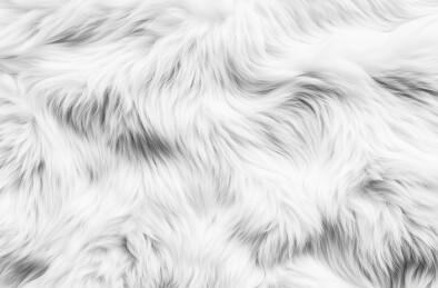 白色背景下的水的全帧拍摄