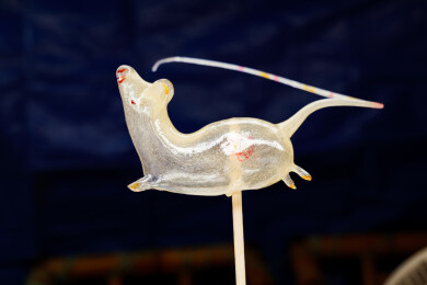 中国民间手工艺品吹糖人特写