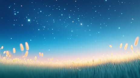 星空草原