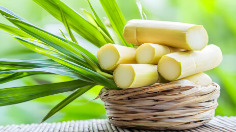 编织篮中新鲜甘蔗秸秆