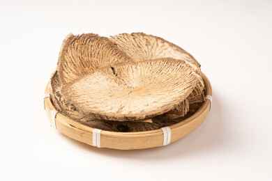 中药材木防己清风藤