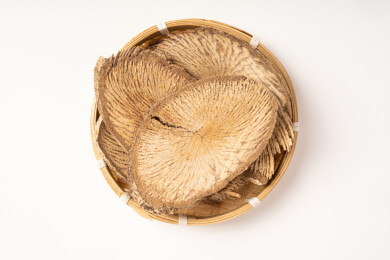 中药材木防己清风藤