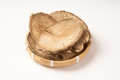 中药材木防己清风藤