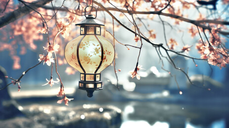 树枝上挂的宫灯