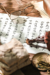 静物中医药方