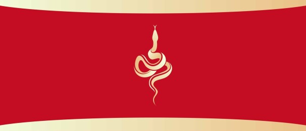 蛇矢量抽象插图