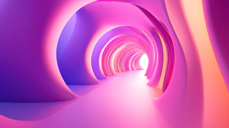 粉红色玫瑰花的全画幅拍摄