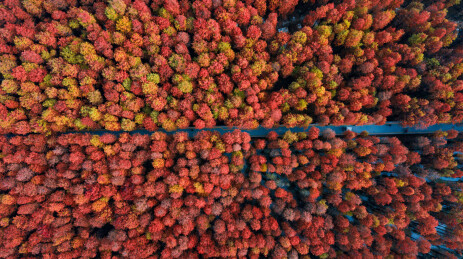 杭州临安青山湖水上公园