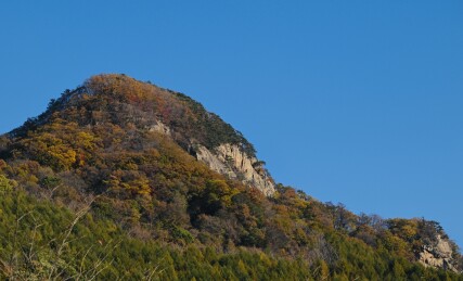 枫叶漫山