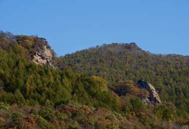 枫叶漫山