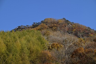 枫叶漫山