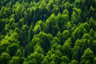 绿色健康有机生活