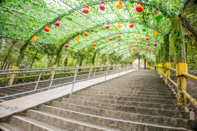 广东东莞观音山登山步道