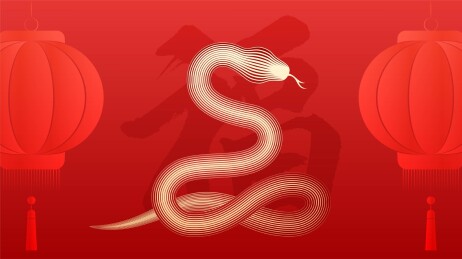 蛇年蛇插画