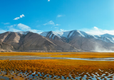 中国新疆帕米尔高原，喀什地区木吉湿地秋季风景