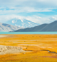 中国新疆314国道木吉湿地远看慕士塔格峰风景