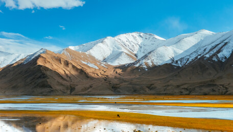 新疆帕米尔高原，喀什地区木吉湿地秋季风景