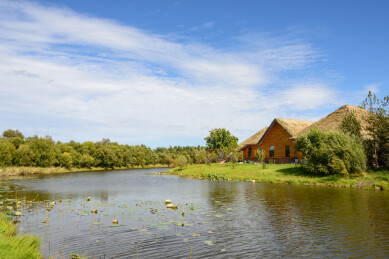 中国黑龙江抚远黑瞎子岛探秘野熊园