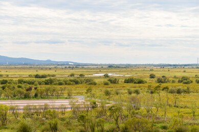 黑龙江省抚远市黑瞎子岛东极宝塔四周的湿地