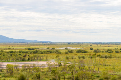 黑龙江省抚远市黑瞎子岛东极宝塔四周的湿地