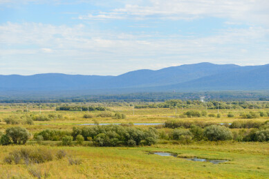黑龙江省抚远市黑瞎子岛东极宝塔四周的湿地