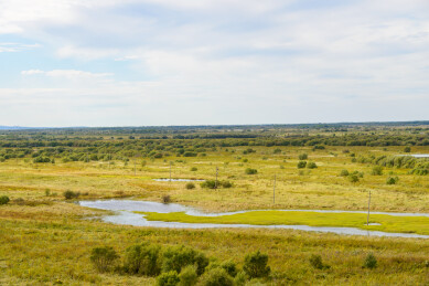 黑龙江省抚远市黑瞎子岛东极宝塔四周的湿地